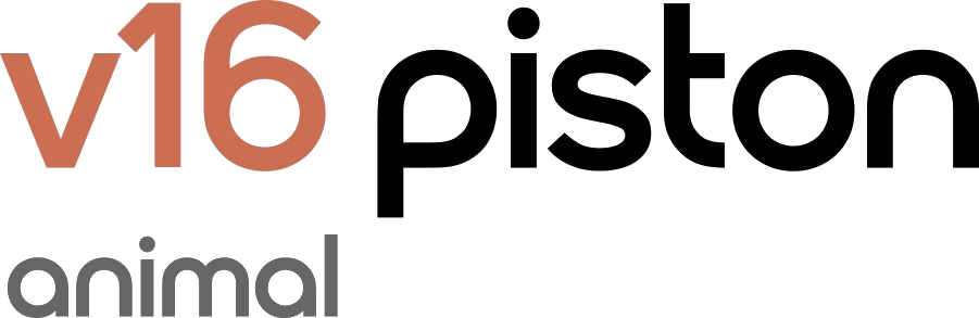 Dyson V16 Piston Animal